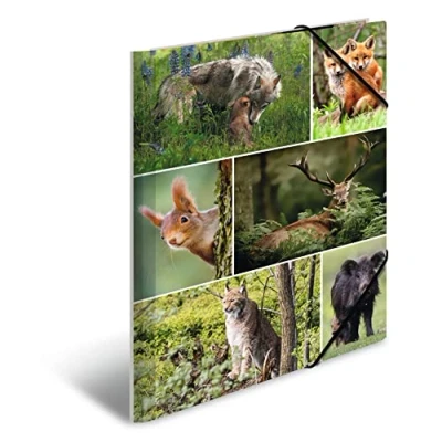 Image de HERMA Classeur A4 animaux de la forêt, pour enfant, en carton, avec motif animal, élastique, rabat intérieur et impression intérieure garçons filles
