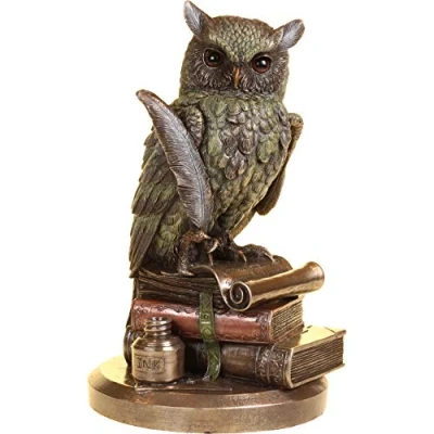 Afbeelding van Nemesis Now Beeld/figuur Uil Multicolours