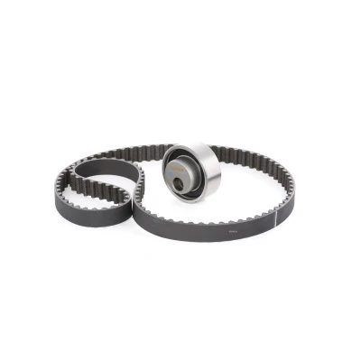 Afbeelding van Distributieriemset SKF VKMA 03100