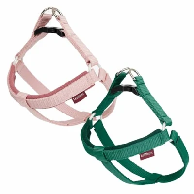 Image de LeMieux Toy Dog Armure Evergreen