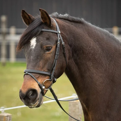 Afbeelding van Harry&#039;s Horse Hoofdstel Easy Care Zwart Pony