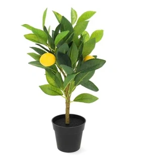 Afbeelding van Decoratieve plant Everlands Plastic Citroenboom 17 x 24 43 cm