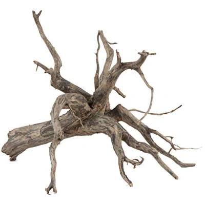 Afbeelding van Sera Filigrane wortel Scaper Root M 30 35 cm