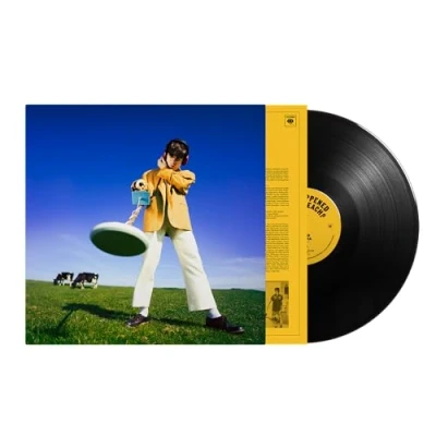 Afbeelding van Declan McKenna What Happened To the Beach? (LP)
