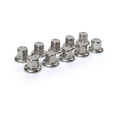 Afbeelding van Amerikaanse, roestvrijstalen moerkapjes, platte kop, set van 10 stuks ? 33 mm