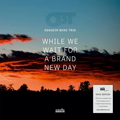 Afbeelding van Oddgeir Trio Berg While We Wait For a Brand New Day (LP)