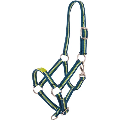 Afbeelding van Premiere Halster Fun Petrol Blue/Sky Blue Veulen