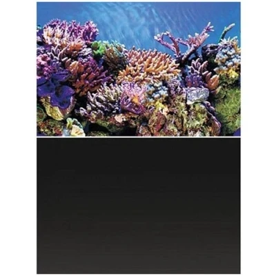 Afbeelding van Superfish Deco Poster A1 60X30 Cm