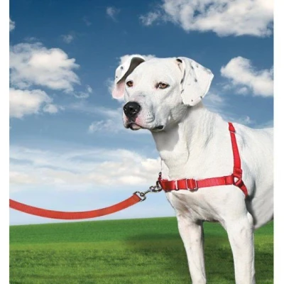 Afbeelding van Petsafe Anti Trek hondentuig Easy Walk Rood
