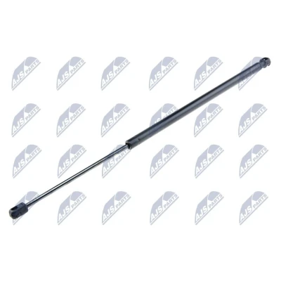Afbeelding van NTY AE BM 029 Gasveer achterklep 420N 596mm