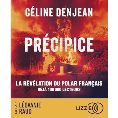 Afbeelding van PRECIPICE