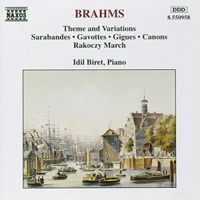 Afbeelding van Idil Biret Theme &amp; Variations (CD)