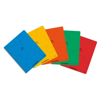 Afbeelding van Schrift Aurora 210x165mm ruit 5x5mm 120blz spiraal assorti