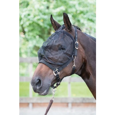 Image de Harry&#039;s Horse Masque Anti Mouches Licol Poney