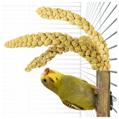 Afbeelding van Back Zoo Nature Bamboo Grass Keeper Vogelspeelgoed 3x3x20 cm