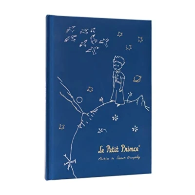 Afbeelding van Grupo Erik notitieboek Le Petit Prince, DIN A5, witte pagina&#039;s, hardcover, A5 notitieboek, bullet journal,