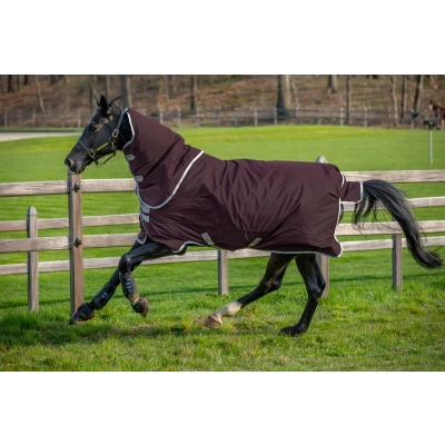 Afbeelding van Amigo Hero Ripstop Plus Medium 200g Fig/Silver 140/191