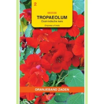 Afbeelding van Tropaeolum Oost Indische kers Empress of India Rood