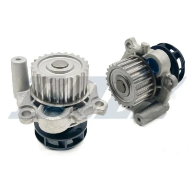 Afbeelding van DOLZ A186 Waterpomp 23 Met riemschijf VOLKSWAGEN: Transporter 5, Caddy 3, Polo IV Hatchback, AUDI: A4 B7 Avant, B5 Saloon, TT Coupe, SEAT: Ibiza 3