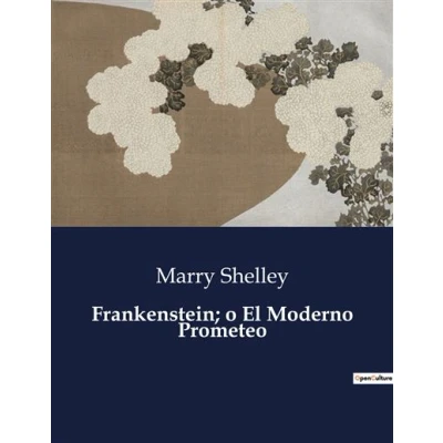 Image de Frankenstein; o El Moderno Prometeo