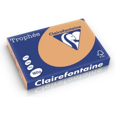 Afbeelding van Clairefontaine Trophée Pastel, gekleurd papier, A3, 160 g, 250 vel, mokkabruin papier