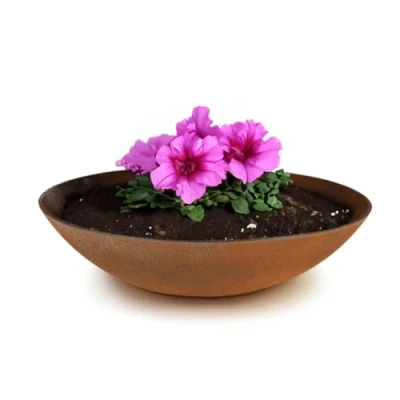 Afbeelding van matches21 Weerbestendige plantenbak voor buiten, grote decoratieve schaal in roest metaallook als bloembak, 28 cm platte tuinbak bloemen, bonsai of begraafplaats, sieraden
