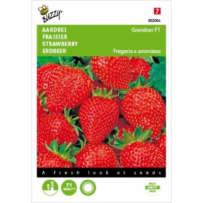 Afbeelding van Aardbeien Sarian F1 Buzzy