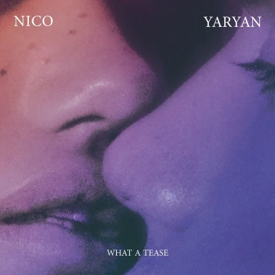 Afbeelding van Nico Yaryan What A Tease (LP)