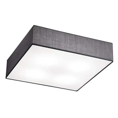 Afbeelding van Trio EMBASSY Plafonniere Nikkel mat E27 Binnenverlichting