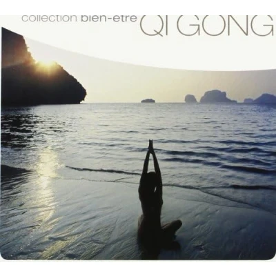 Afbeelding van Various Artists Qi Gong (Bien Etre) (CD)