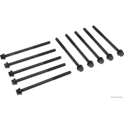 Afbeelding van Herth+Buss Jakoparts Cilinderkopboutenset J1284025