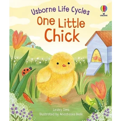 Afbeelding van Life Cycles One Little Chick