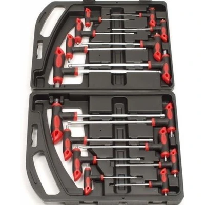 Afbeelding van T Greep Inbus en Torx set 16 delig