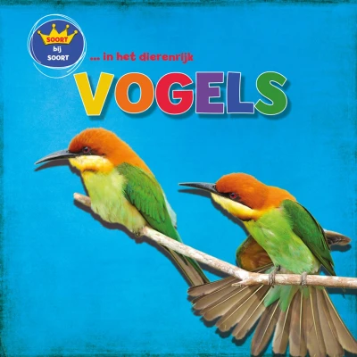 Afbeelding van soort bij in het dierenrijk Vogels