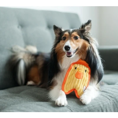 Afbeelding van Outward Hound Hondenspeelgoed Invincibles Mini Chicky