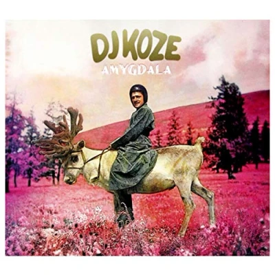 Afbeelding van DJ Koze Amygdala (CD)