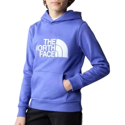 Afbeelding van The North Face DREW PEAK Hoodie Unisex voor kinderen, Maat: 128, Blue