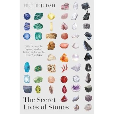 Afbeelding van The Secret Lives of Stones