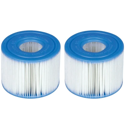 Image de Intex S1 filter for SPA Duopack avec 2 pièces
