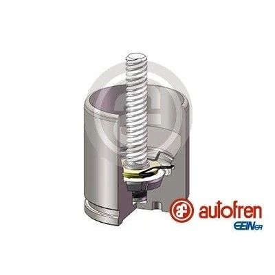 Afbeelding van AUTOFREN SEINSA D025682K Zuiger, remklauw 48 Achteras BREMBO