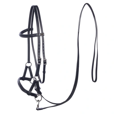 Image de F.R.A. Bridon sans Mors Pardoes Side Pull Noir Poney