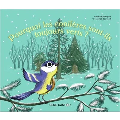 Image de Pourquoi les conifères sont ils toujours verts ?