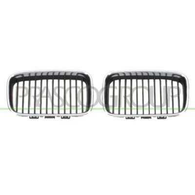 Afbeelding van PRASCO BM0142113 Grille Auto rechts BMW: 3 Convertible, Saloon