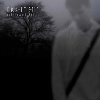 Afbeelding van No Man Schoolyard Ghosts (2 LPs)