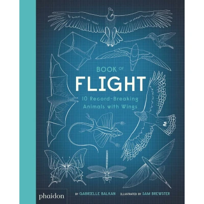 Afbeelding van Book of Flight