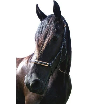 Image de F.R.A. Licol de Travail Pablo Profi Syst 4 Ruchi Collection Nylon/Cuir Noir/Blanc Poney