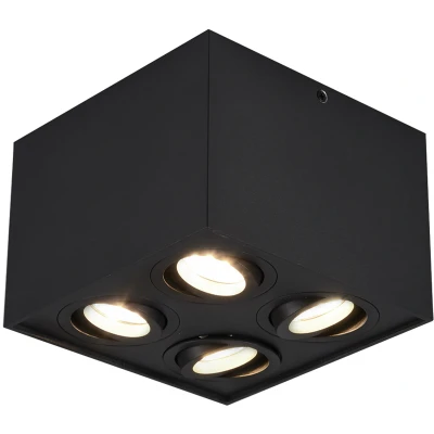 Afbeelding van TRIO BISCUIT Plafonniere Mat zwart GU10 Binnenverlichting Draaibaar
