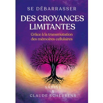 Image de Se débarrasser des croyances limitantes grâce à la transmutation mémoires cellulaires