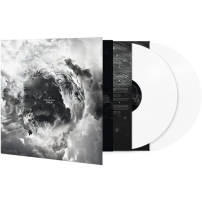 Afbeelding van Disillusion Ayam (2 LPs)