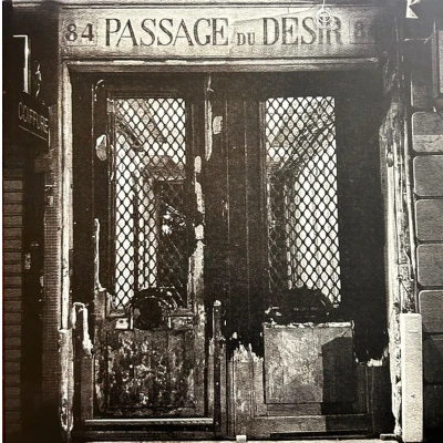 Afbeelding van Johnny Blue Skies Passage Du Desir (LP)
